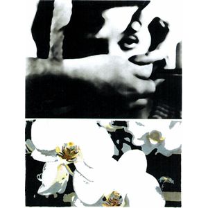 2010 Sine Qua Non, Stockholm Syndrome Grenache, Sta. Rita Hills 6x75cl