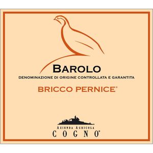 2018 Elvio Cogno, Barolo, Bricco Pernice 6x75cl