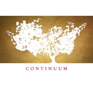 2017 Continuum, Napa Valley 6x75cl