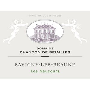 2020 Chandon de Briailles, Savigny-les-Beaune, Les Saucours 6x75cl