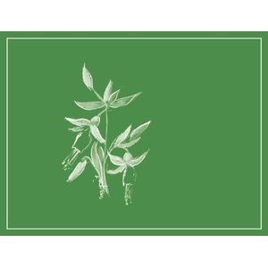 2023 Arnot Roberts, Ascona Sauvignon Blanc, Santa Cruz Mountains 12x75cl