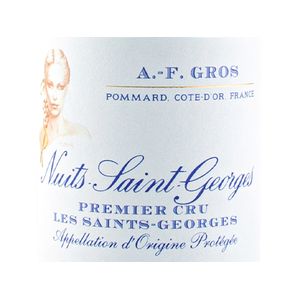 2020 Domaine Anne-Francoise Gros, Nuits-Saint-Georges Premier Cru, Les Saints-Georges 6x75cl
