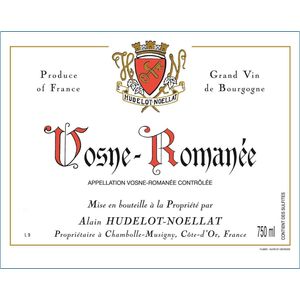 2020 Alain Hudelot-Noellat, Vosne-Romanee 6x75cl