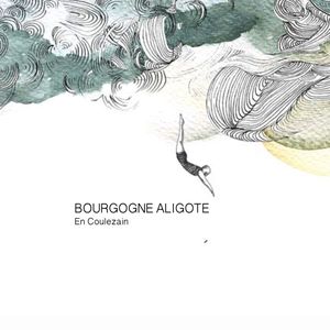2023 Les Horees, Bourgogne Aligote, En Coulezain 12x75cl