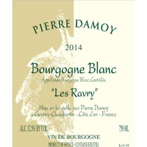 2019 Pierre Damoy, Bourgogne, Les Ravry Blanc 6x75cl