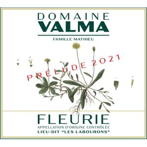 2021 Domaine Valma, Fleurie, Les Labourons Prelude 6x75cl