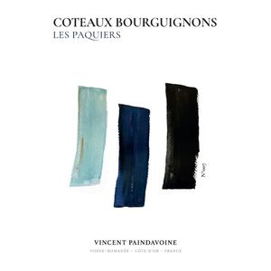 2022 Vincent Paindavoine, Coteaux Bourguignons, Les Paquiers 6x75cl