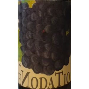 2019 Elio Sandri, Langhe, Enodatio Merlot 6x75cl