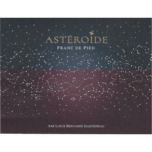 2022 Domaine Didier Dagueneau, Pouilly Fume, Asteroide 1x75cl