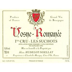 2020 Alain Hudelot-Noellat, Vosne-Romanee Premier Cru, Les Suchots 1x300cl