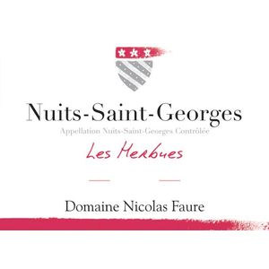 2022 Domaine Nicolas Faure, Nuits-Saint-Georges, Aux Herbues 12x75cl