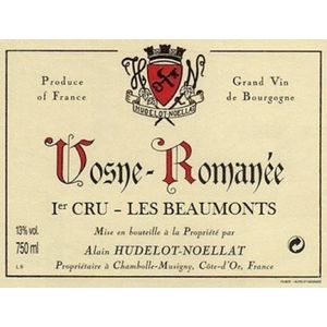 2020 Alain Hudelot-Noellat, Vosne-Romanee Premier Cru, Les Beaux Monts 3x75cl