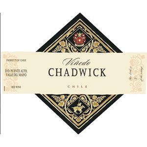 2020 Vinedo Chadwick, Maipo Valley 1x150cl