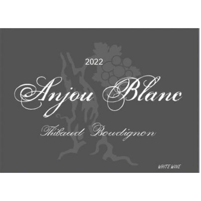 2022 Thibaud Boudignon, Anjou, Blanc 12x75cl