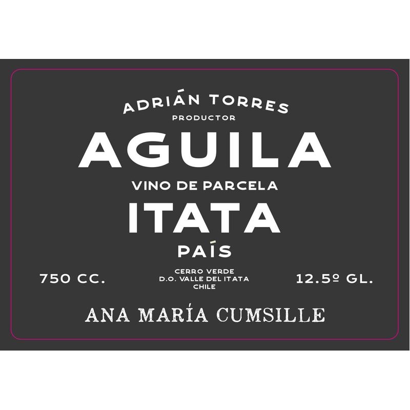 Ana Maria Cumsille Adrian Torres 'Aguila' Pais 2022