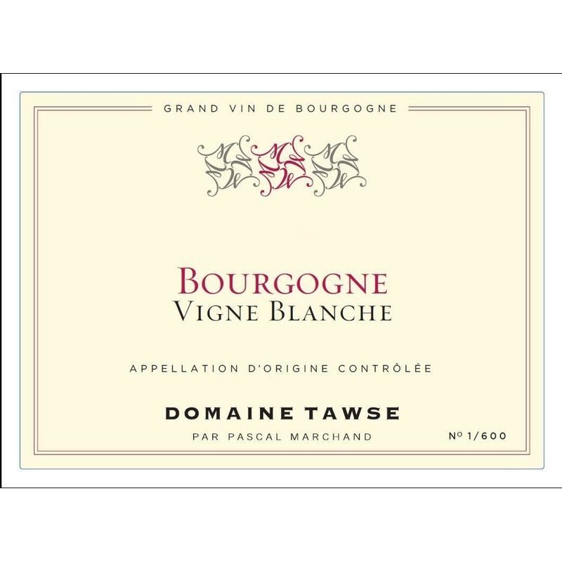 Domaine Tawse Bourgogne Rouge Vigne Blanche 2022