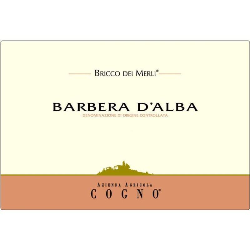 Elvio Cogno Bricco dei Merli Barbera d'Alba 2022