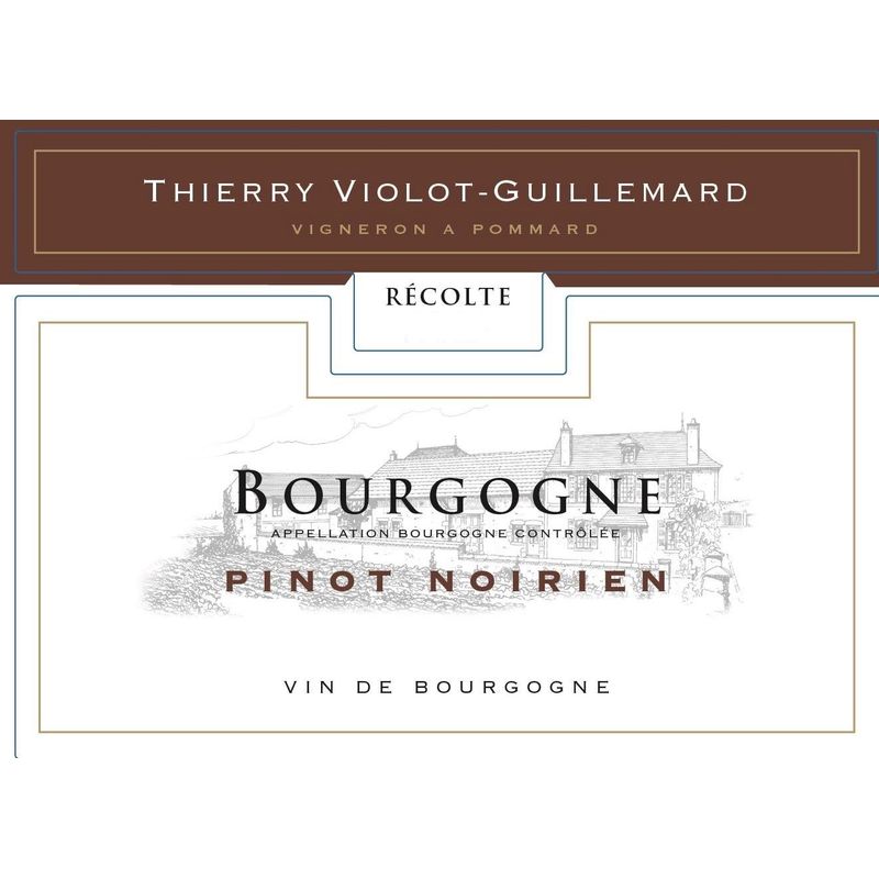 2021 Joannes Violot-Guillemard Bourgogne Hautes Cotes de Beaune Pinot ...