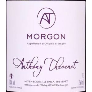 2021 Anthony Thévenet Morgon
