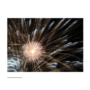2020 Chanin Los Alamos Vineyard Chardonnay