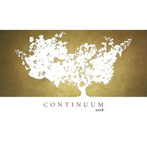 2019 Continuum