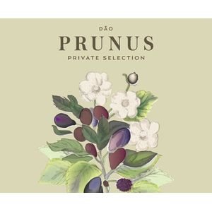 2020 Gota Prunus Private Selection Tinto