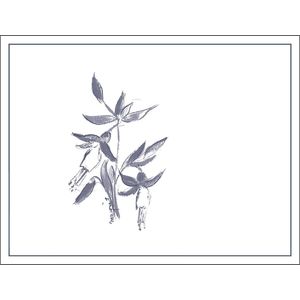 2021 Arnot-Roberts Watson Ranch Cabernet Franc