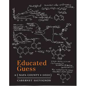 2020 Educated Guess Napa County Cabernet Sauvignon