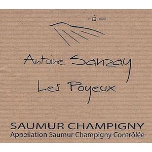 2020 Antoine Sanzay Saumur-Champigny Les Poyeux