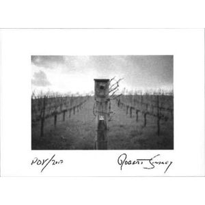 2017 Robert Sinskey Vineyards POV