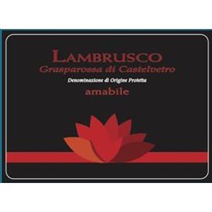 2018 Pezzuoli Lambrusco Grasparossa di Castelvetro Amabile