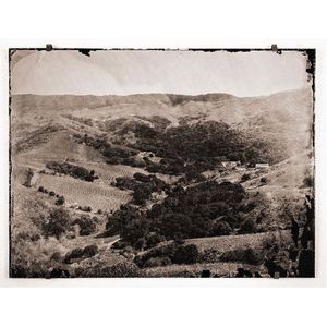 2021 Sandhi Wines White Buffalo Pinot Noir