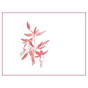 2021 Arnot-Roberts Peter Martin Ray Vineyard Pinot Noir