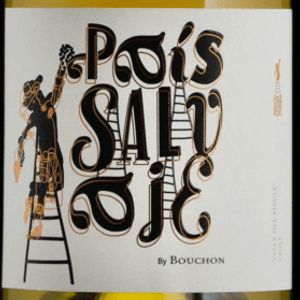 2019 J. Bouchon País Salvaje Blanco