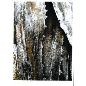 2011 Sine Qua Non Patine Grenache