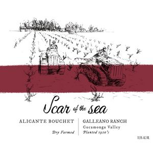 2021 Scar of the Sea Galleano Vineyard Alicante Bouschet