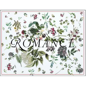 2020 Sandhi Wines Romance Pinot Noir