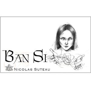 2020 Domaine Nicolas Suteau Ban Si