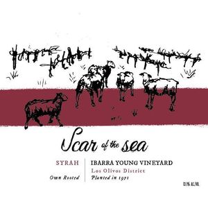 2019 Scar of the Sea Ibarra Young Vineyard Syrah