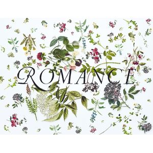 2020 Sandhi Wines Romance Chardonnay