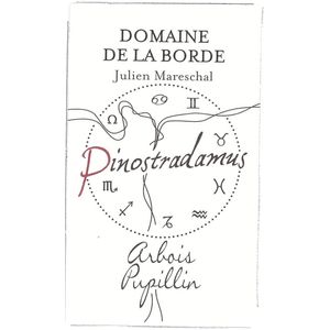 2020 Domaine de la Borde Pinostradamus