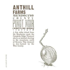 2019 Anthill Farms Comptche Ridge Vineyard Pinot Noir