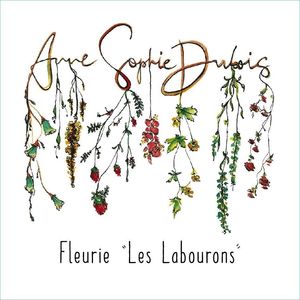 2020 Anne-Sophie Dubois Fleurie Les Labourons