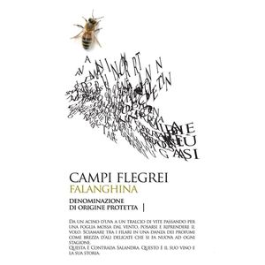 2018 Contrada Salandra Falanghina