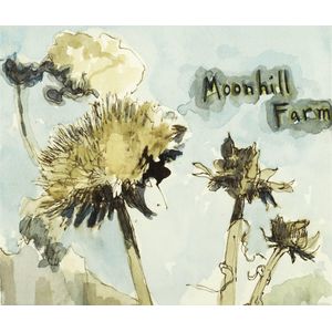 Hiyu Tzum Moon Hill Farm I