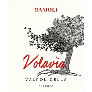 2020 Damoli Valpolicella Classico Volavia