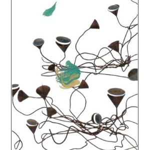 2015 Tenuta dell'Ornellaia Ornellaia Vendemmia d'Artista