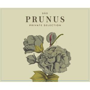 2020 Gota Prunus Private Selection Branco