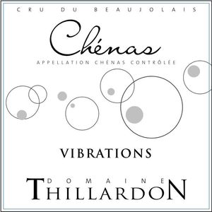 2021 Domaine Thillardon Chénas Les Vibrations