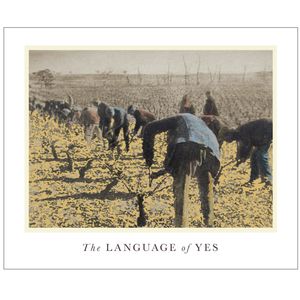 2020 The Language of Yes En Passerillage Grenache